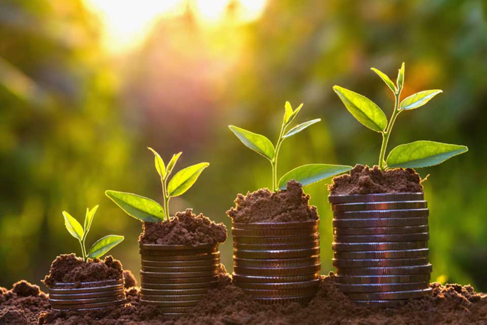 Accounting Revenue